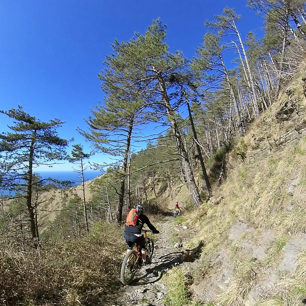 WhatsApp Image 2021-03-14 at 17.37.33 (5).jpeg